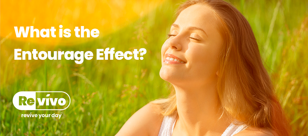 What is the Entourage Effect?