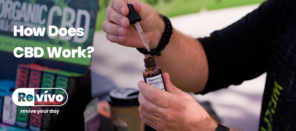 How Does CBD Work?
