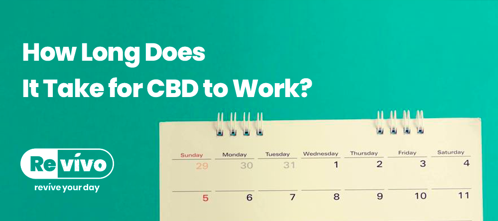 CBD Supplements - How long does it take for CBD to Work?
