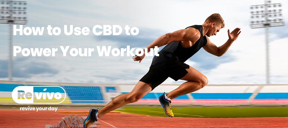 Performance Nutrition: How to Use CBD to Power Your Workout
